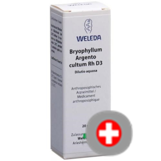 Weleda Bryophyllum Argento cultum Rh D 3 Dilución acuosa 20 ml