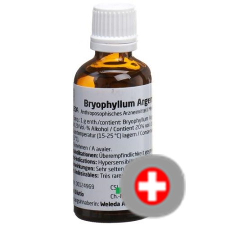 Weleda Bryophyllum Arg Cult Dil D2 1% - Natural Plant-Based Remedy