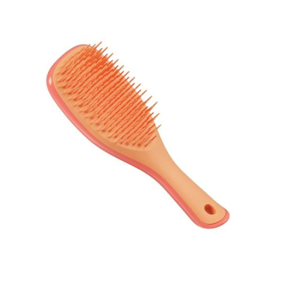 تشابن تيزر الرطب Detangler Detangling Mini Brush Pink