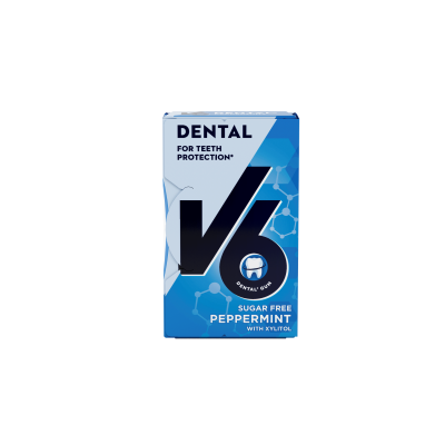 V6 Chewing Gum Peppermint 10 Pcs