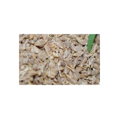 HÄNS Anise Fruit Whole PhEur 60 g