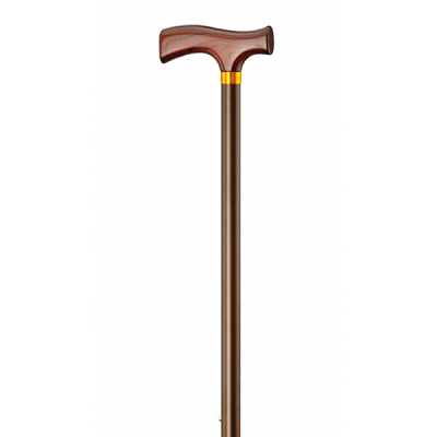 GASTROCK Walking Stick with Fritz Handle Bronze