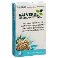 Valverde Magen-Darm 30 tablets