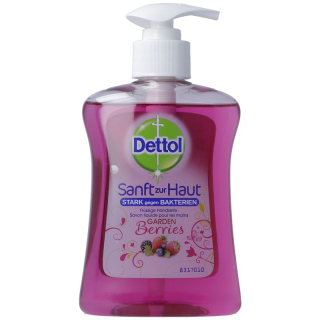 Dettol Pump Soap Gardenberries 250 ml