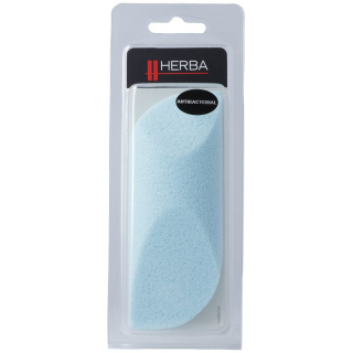 Herba pumice sponge with silver ions light blue