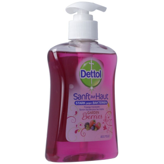 Dettol soap pump-garde berries 250ml