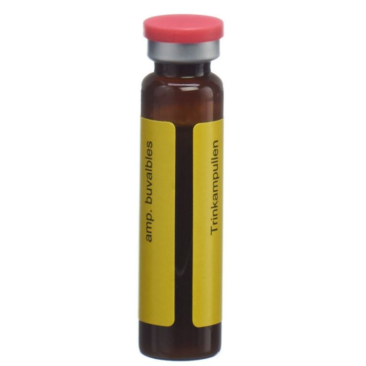 Royal Jelly Royal Jelly Trinkamp Temple of Heaven 60 x 10 ml