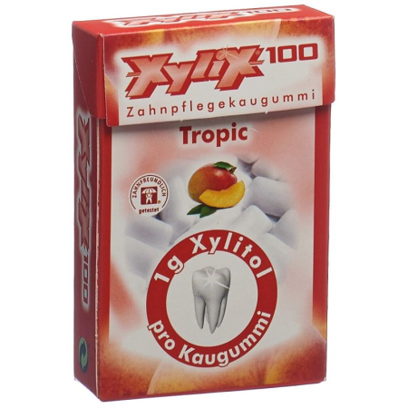 XyliX100 box display guma do żucia tropic 10x24szt