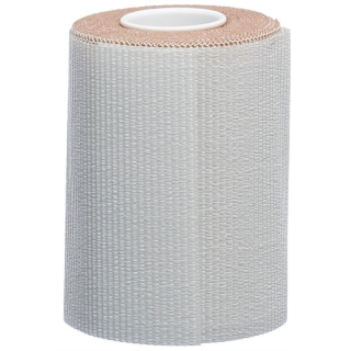 Porelast plaster bandage 10cmx2.5m skin-colored 10 pcs