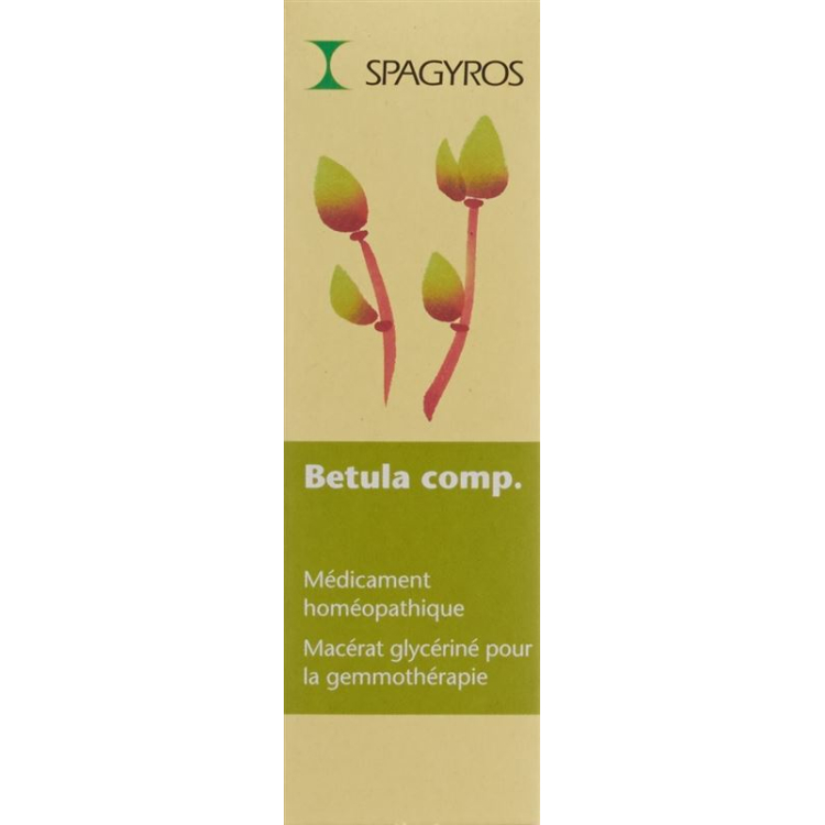 Spagyros Gemmo Betula comp Glyc Maz D 1 spray 30ml