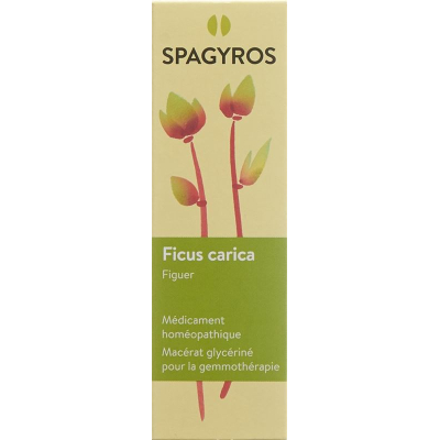 Spagyros gemmo ficus carica glyc maz d 1 spray 30 мл