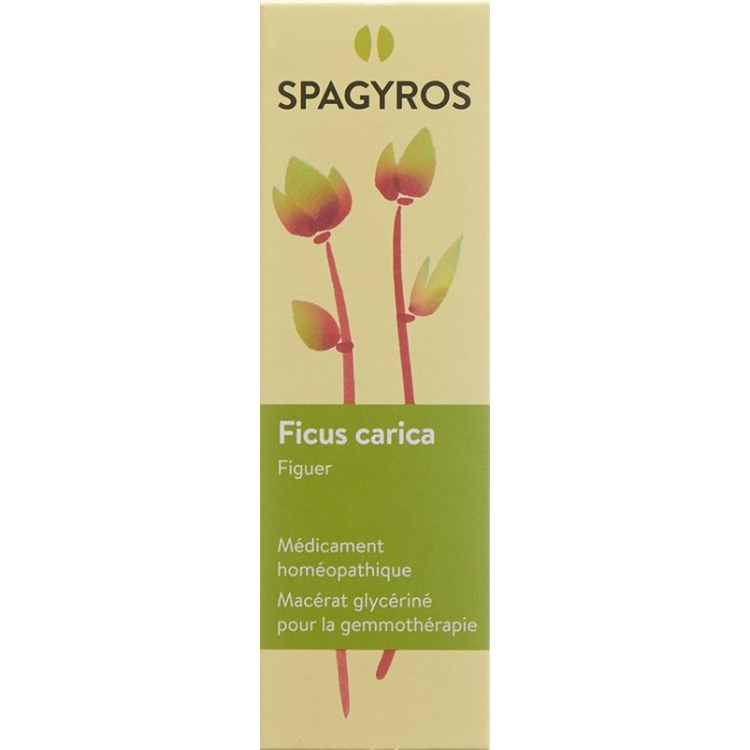 Spagyros Gemmo Ficus carica Glyc Maz D 1 spray 30 ml