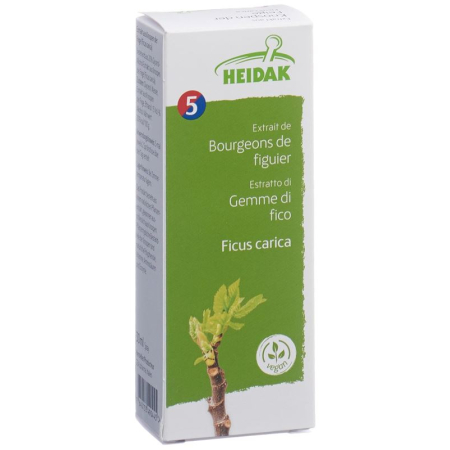 HEIDAK Bud Fig Ficus Glycerine Maceration Fl 500 ml
