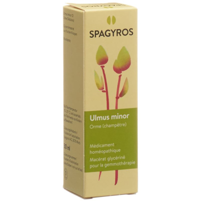 SPAGYROS GEMMO Ulmus minor Glyc Maz D 1