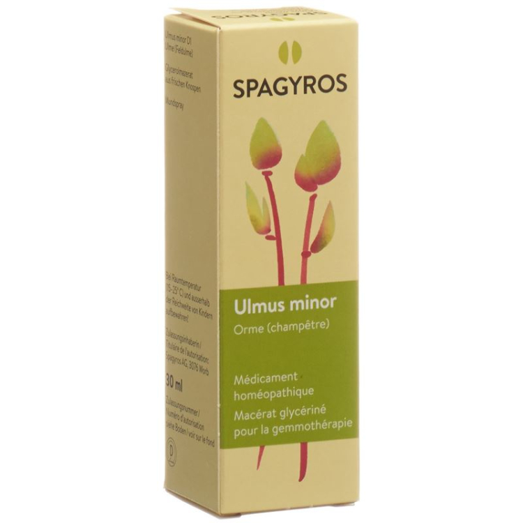 SPAGYROS GEMMO Ulmus អនីតិជន Glyc Maz D ១