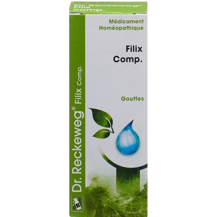 Reckeweg R56 Filix Comp. Tropfen Fl 50 ml