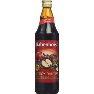 Rabenhorst Antioxidants Juice Organic 7.5 dl