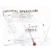 Speculum CUSCO 1x plastica sterile M 26mm