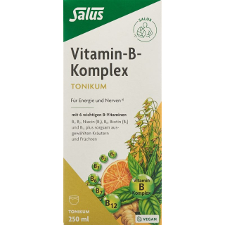 Salus Vitamin B Complex Bottle 250 ml
