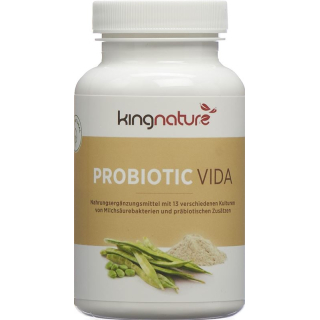 Kingnature Probiotic Vida Plv Ds 90g