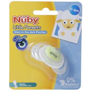NUBY light-up dummy Little Moments 0-6 M oval