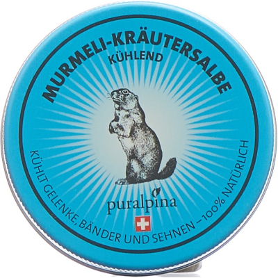 puralpina Murmeli-Kräutersalbe kühlend Ds 50 ml