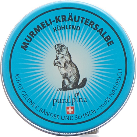 푸랄피나 Murmeli-Kräutersalbe kühlend Ds 100 ml