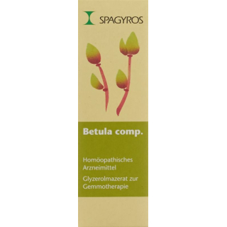 Spagyros gemmo betula comp glyc maz d 1 spr 30 մլ