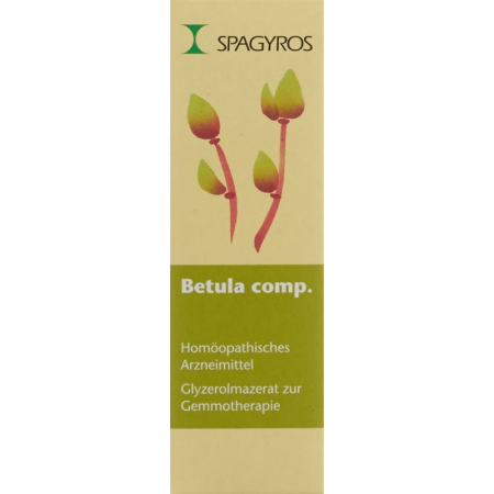 Spagyros Gemmo Betula comp Glyc Maz D 1 Spr 30 мл