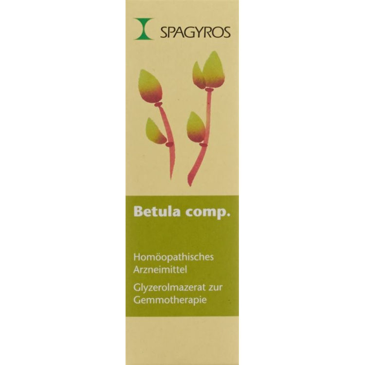 Spagyros Gemmo Betula comp Glyc Maz D 1 spray 30 មីលីលីត្រ