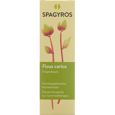 Spagyros Gemmo Ficus carica Glyc Maz D 1 spray 30ml