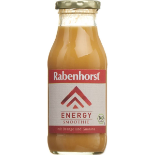Rabenhorst Energy Smoothie Organic Bottle 240 ml