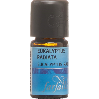farfalla eucalyptus radiata eter/minyak organik 5 ml