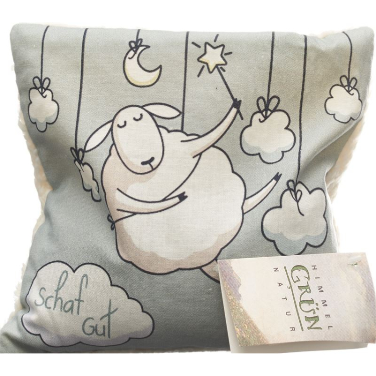 Sky Green Children's Grape Seed Pillow 20x20cm Sleep well