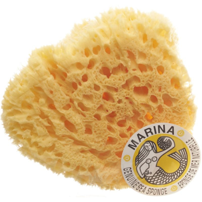 MARINA natural sponge Venise 20cm