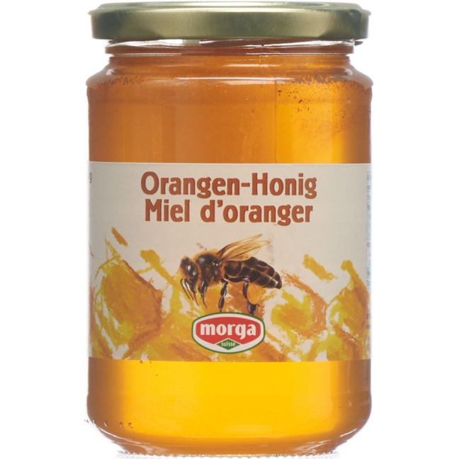 MORGA orange honey jar 500 g