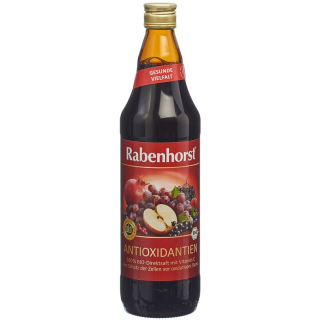 Rabenhorst antioxidants juice bio 7.5 dl