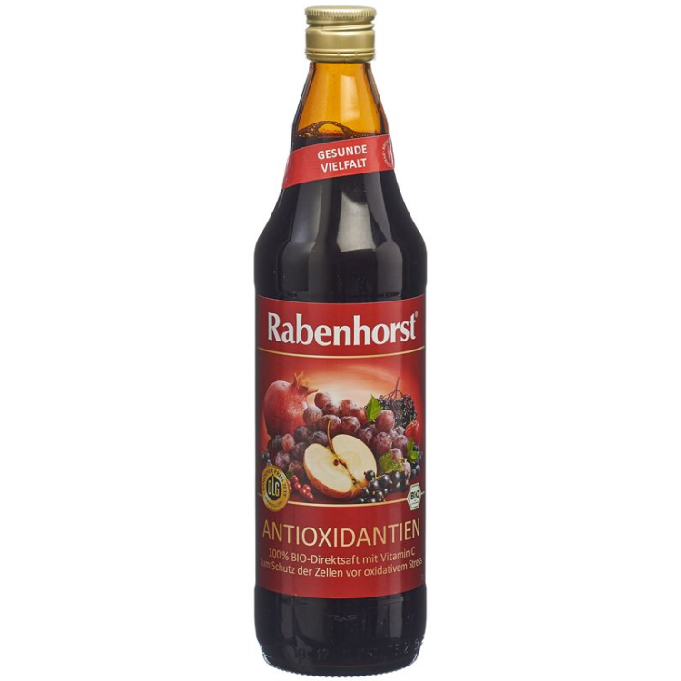 Rabenhorst Antioxidantien Saft Bio 7.5 dl