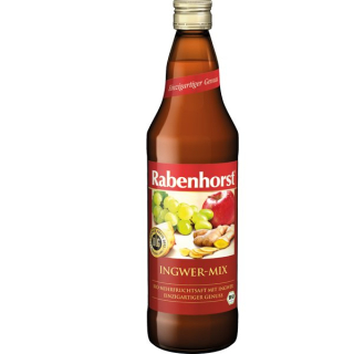 Rabenhorst ginger juice mix bio 7.5 dl