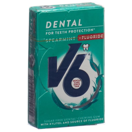 V6 Dental Care Kaugummi Spearmint + Fluoride Box