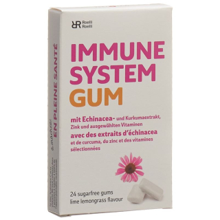 R & R IMMUNE SYSTEM Gum 10 x 24 pcs