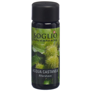 Soglio Aqua Castanea Fl 100 ml