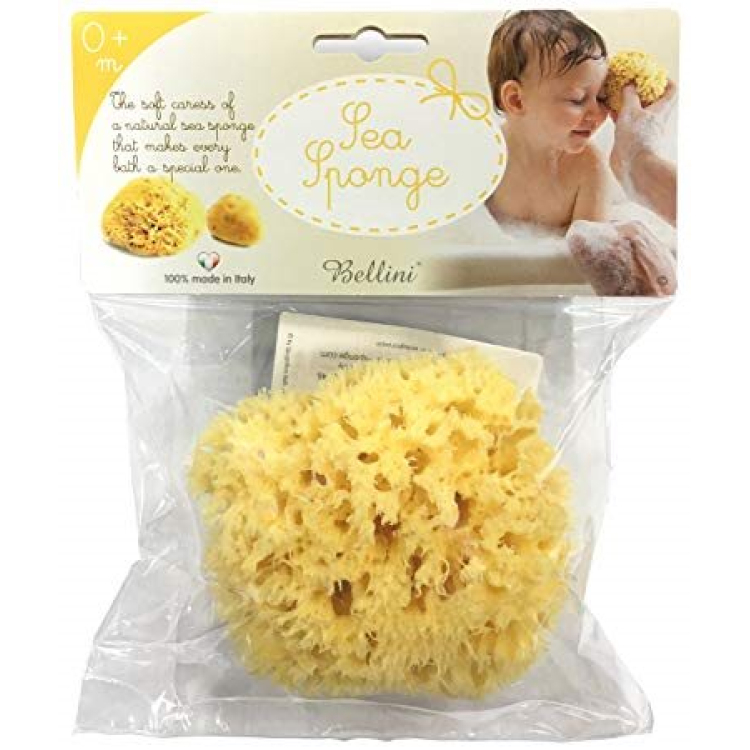 Bellini small marine sponge