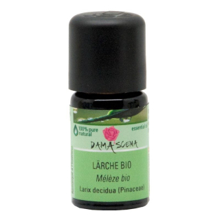 Damascena larch Äth / oil Bio Fl 5 ml