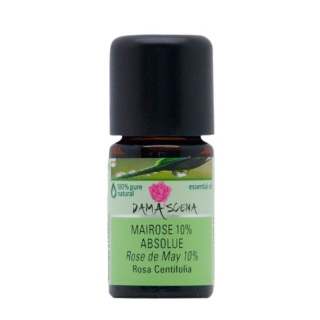 Damascena may rose 10% Äth / Absolute oil in alcohol traditionally Fl 5 ml