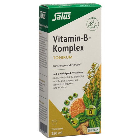 Salus Vitamin-B-Komplex Fl 250 ml
