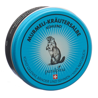 puralpina Murmeli-Kräutersalbe gekühlt Ds 50 ml