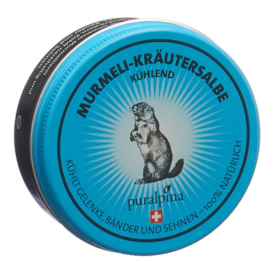 puralpina Murmeli-Kräutersalbe kühlend Ds 50 ml