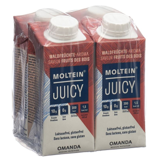 Moltein Juicy Forest Fruits 4 Tetra 200 ml