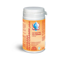 Biosana Glucosamin Q10 Tabl Folsäure Ds 140 Stk